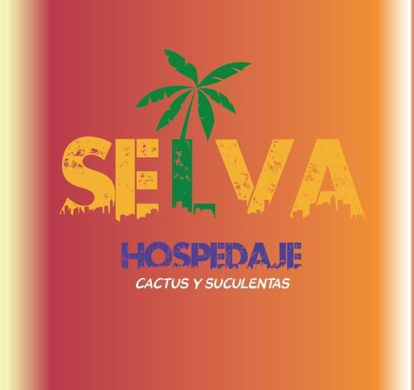 اتاق استاندارد, Selva Hospedaje