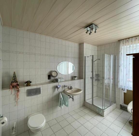 Номер Стандарт Индивидуальный, Rheinhotel Kelch