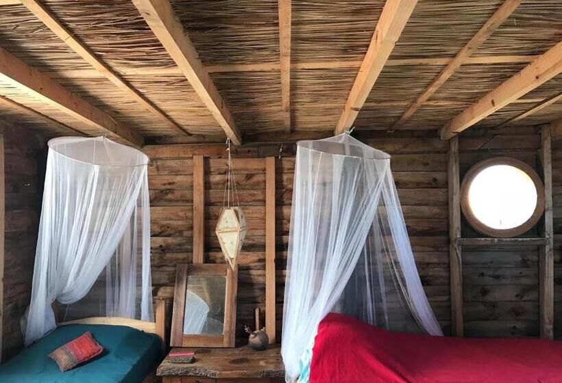 공동 객실, Casa Satori
