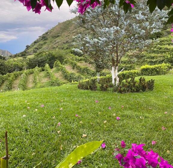 Четырехместный Номер Deluxe, Hacienda La Tulia Eco