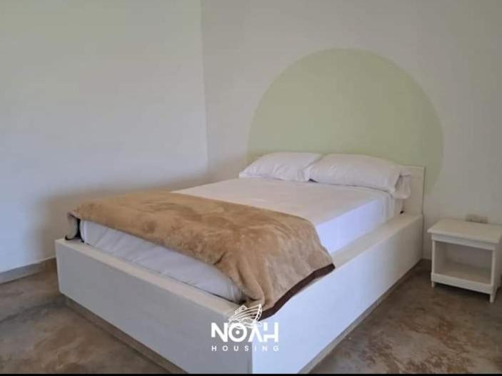 스탠다드 룸, Noah Housing