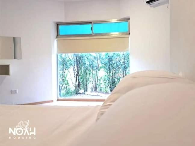 스위트, Noah Housing