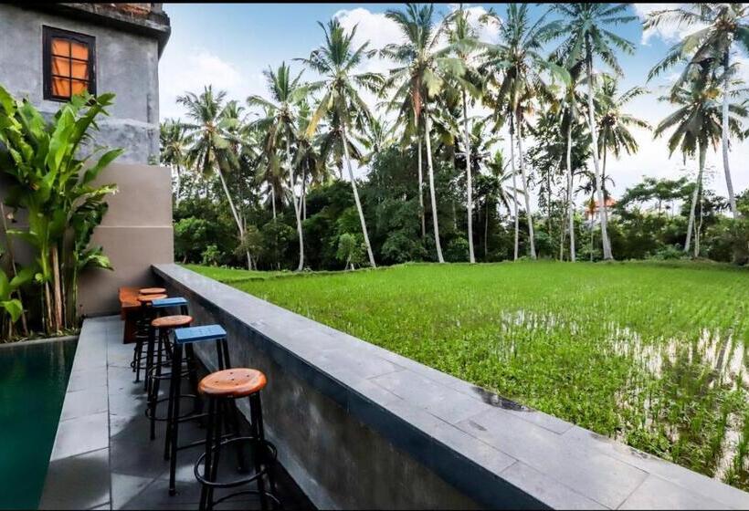 スタンダードルーム, Harmony House 4, 2 Min Ubud Center Room Near Pool