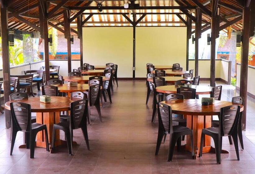 Номер Superior Кровать Кинг, Green Orry Inn Tetebatu