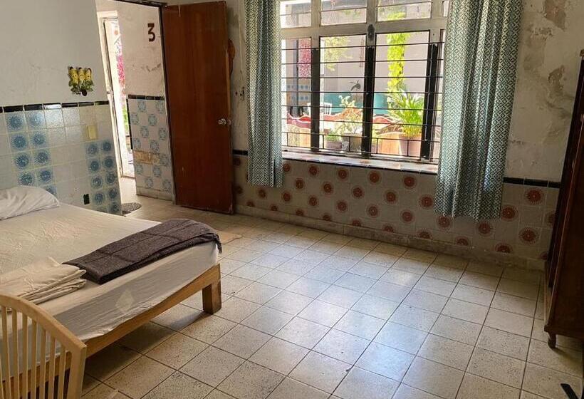 스탠다드 룸 공동 욕실, Casita Hostel