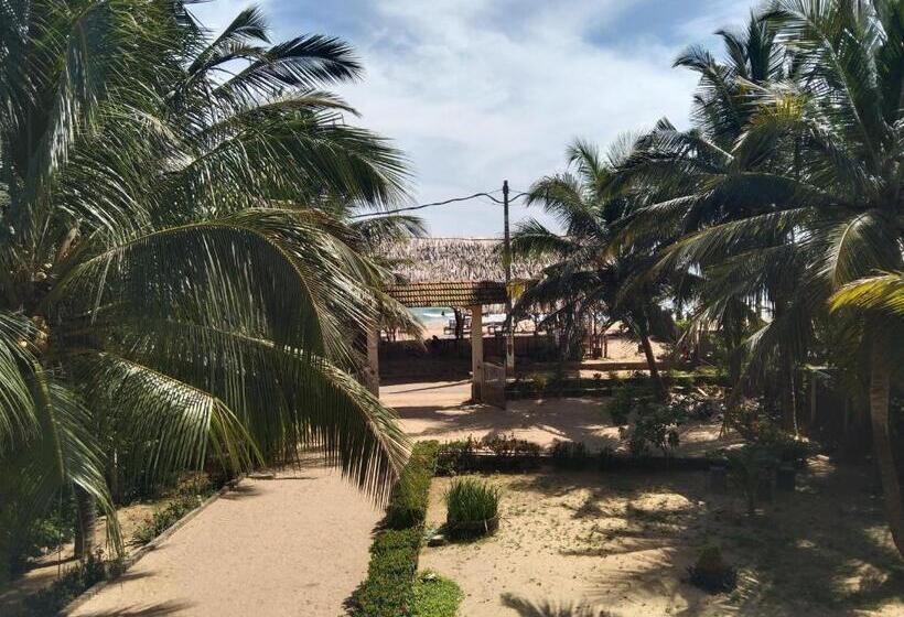 Номер Deluxe Вид на Море с Балконом, Opera Beach Inn