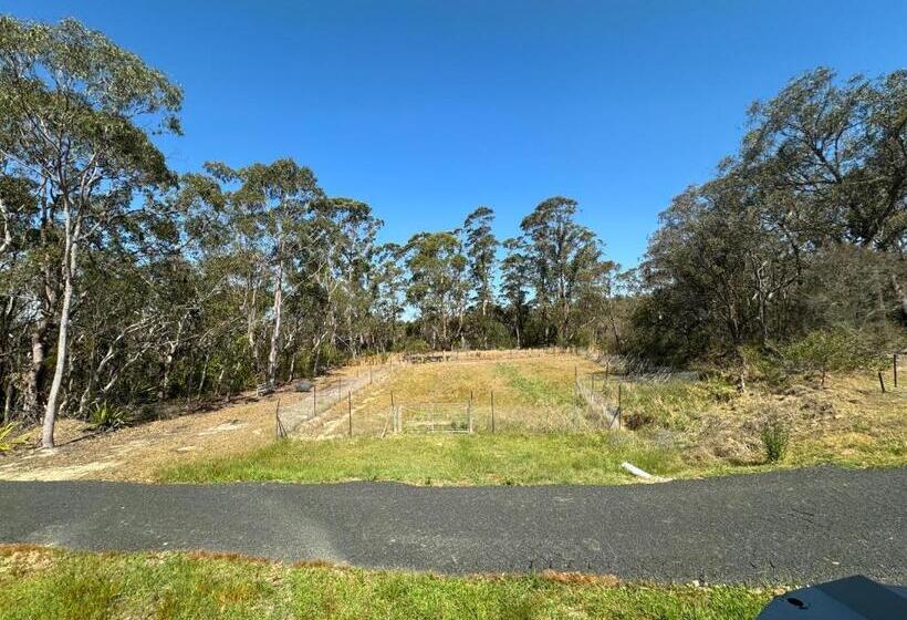 Семейный Номер, Sydney Farm Stay    Live With Nature And Animals