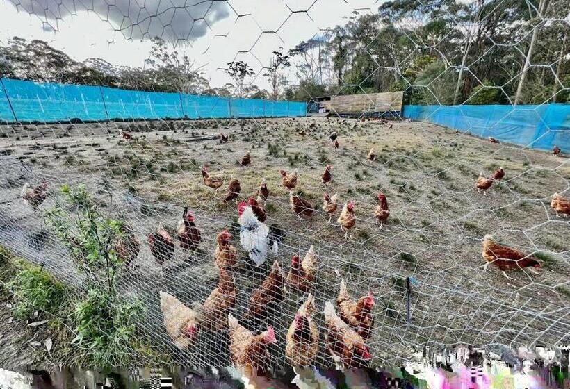 Семейный Номер, Sydney Farm Stay    Live With Nature And Animals