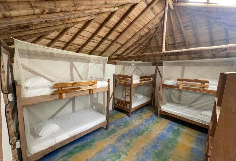 تختخواب در اتاق مشترک, Casa Wago