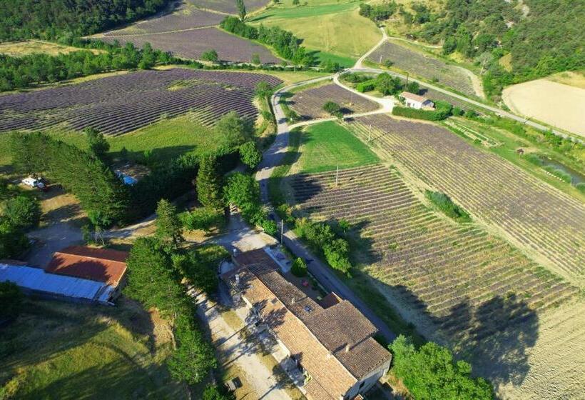 Номер Стандарт с Террасой, Auberge De Miélandre