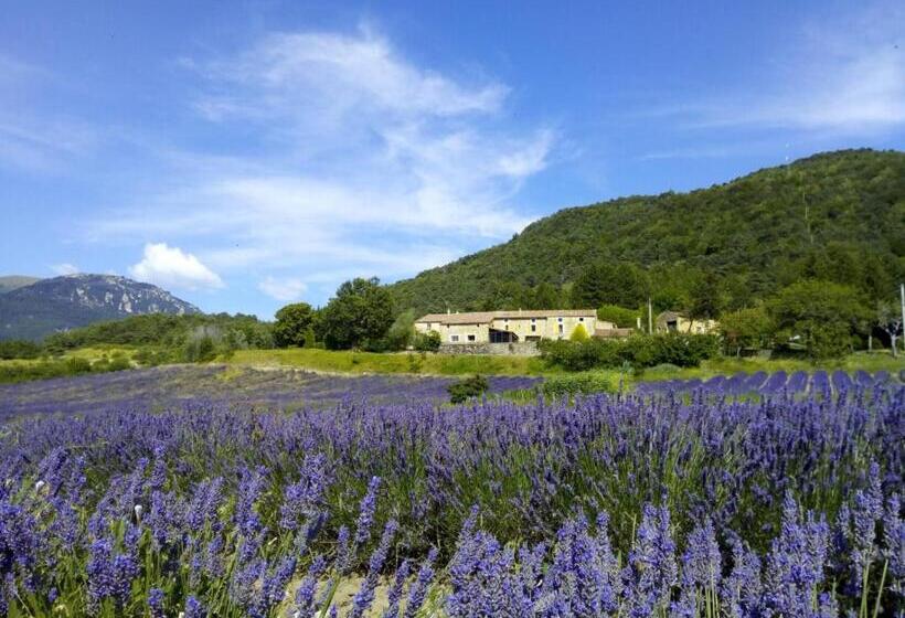 Номер Стандарт с Террасой, Auberge De Miélandre
