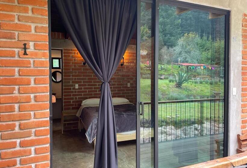 Номер Стандарт, Hostal La Roca