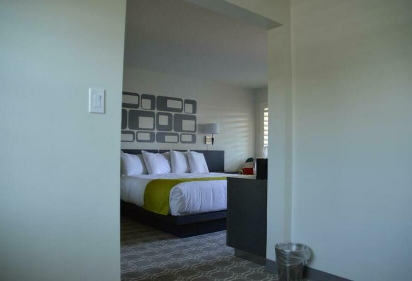 스위트 킹사이즈 침대, University Inn Asu/tempe