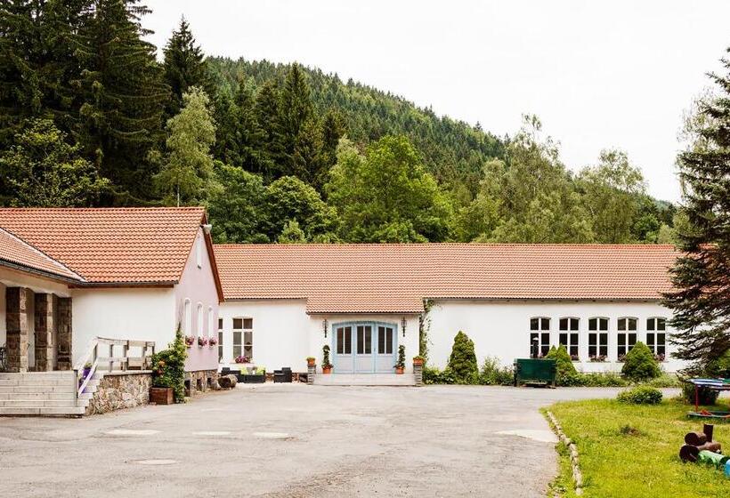 Номер Стандарт Индивидуальный, Ferienpark Thüringer Wald