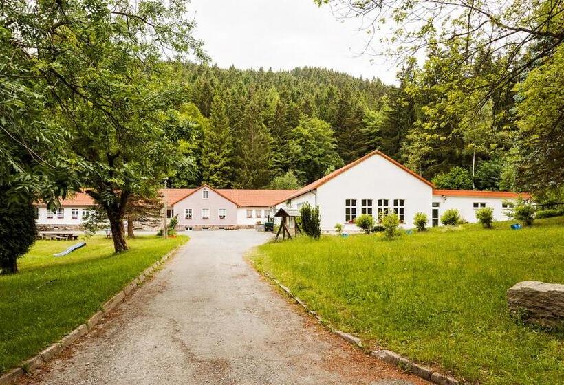Бунгало Стандарт, Ferienpark Thüringer Wald
