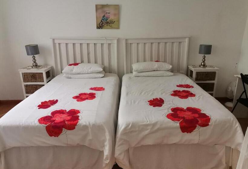 Номер Deluxe, Palm Tree Bnb