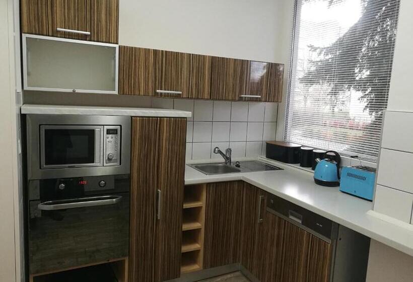 Апартаменты 1 Спальня Нижний Этаж, Modrý Apartmán A5 V Chomutově