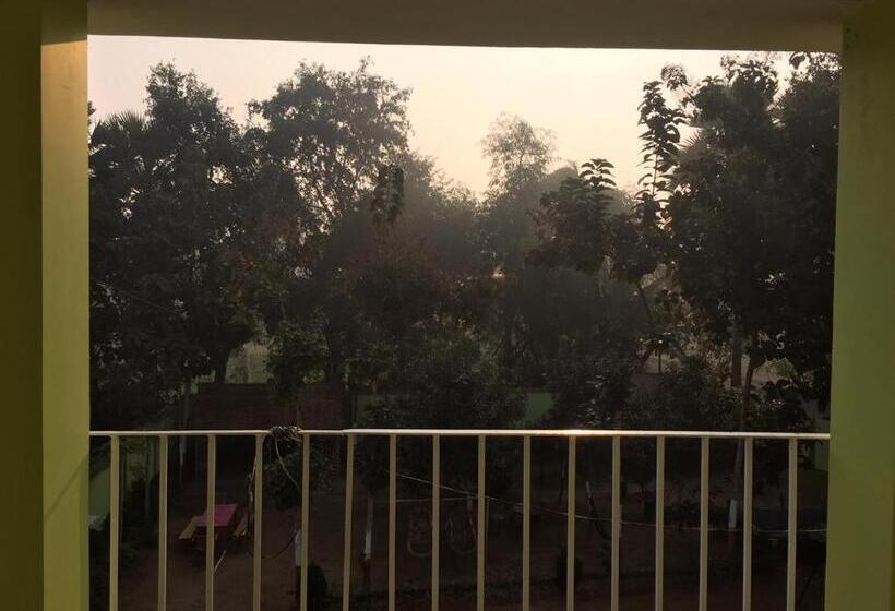 اتاق سوپریور, Sachi Home