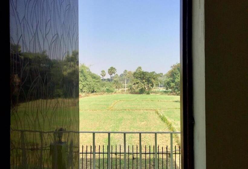 اتاق لوکس, Sachi Home