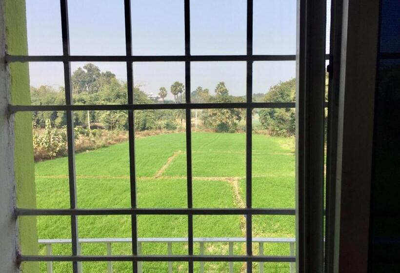 اتاق استاندارد, Sachi Home