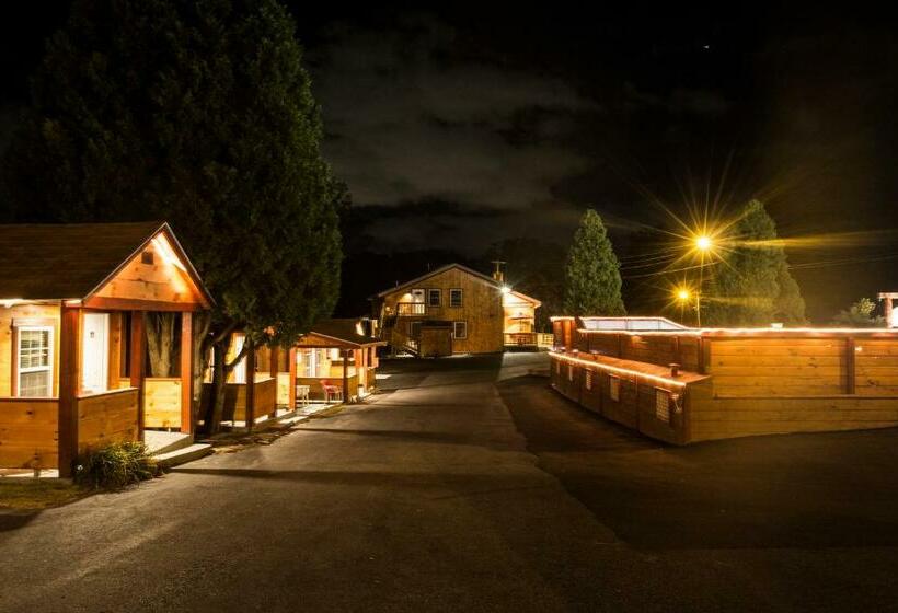 Номер Стандарт, King Hendrick Motel And Suites
