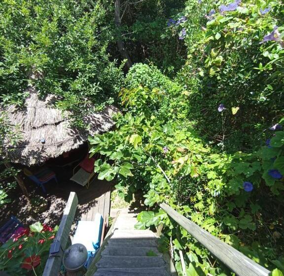 스탠다드 룸 공동 욕실, Nature Hostel