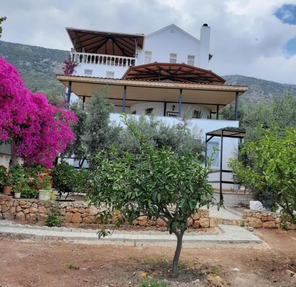 Апартаменты 1 Спальня Вид на Сад, Villa Köknar Apart