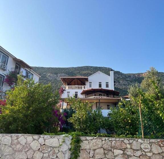 Апартаменты 1 Спальня Вид на Сад, Villa Köknar Apart