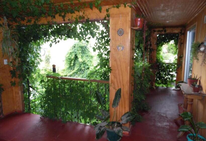 اتاق استاندارد با تراس, Molino Rojo Hostel