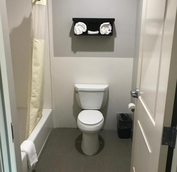 اتاق لوکس, Grand Villa Inn And Suites Westchase/chinatown