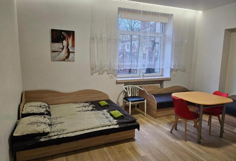 اتاق استاندارد چهار تخته, Kauno Apartamentai Big Room King Size Bed