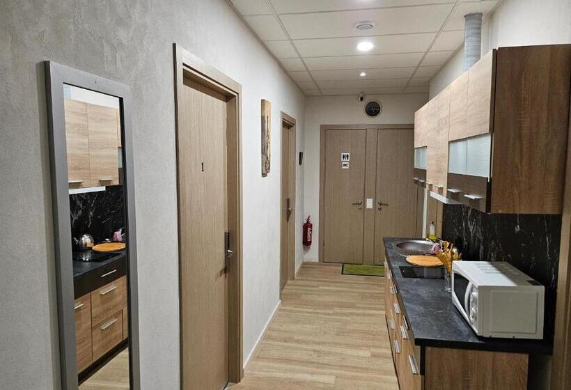 اتاق استاندارد چهار تخته, Kauno Apartamentai Big Room King Size Bed