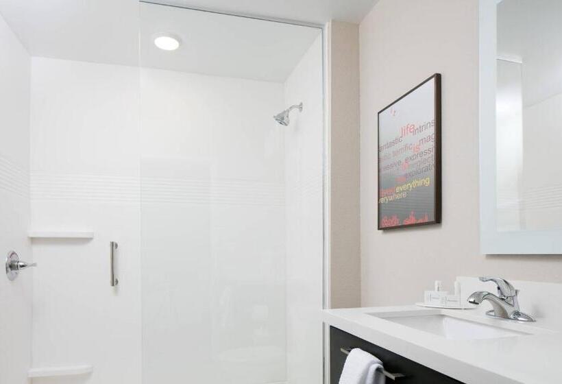 스탠다드 스튜디오 킹침대, Towneplace Suites By Marriott Kansas City Airport