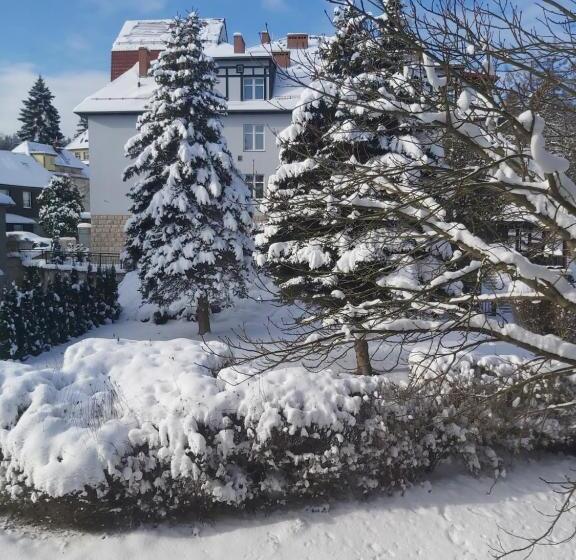 Номер Deluxe с Балконом, Villa Lessing