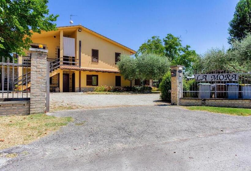 Апартаменты 1 Спальня, Agriturismo La Mora   Gemelli