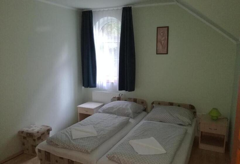 Номер Стандарт, Experience élmény