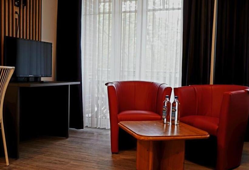 Апартаменты 1 Спальня с Балконом, Appart Haus Business Apartments