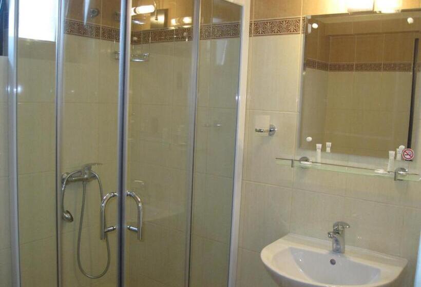 Номер Стандарт Трехместный, Vila Medeea