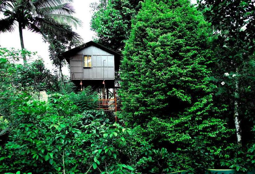 Номер Стандарт Вид на Озеро, The Wayside Tree House And Private Villas