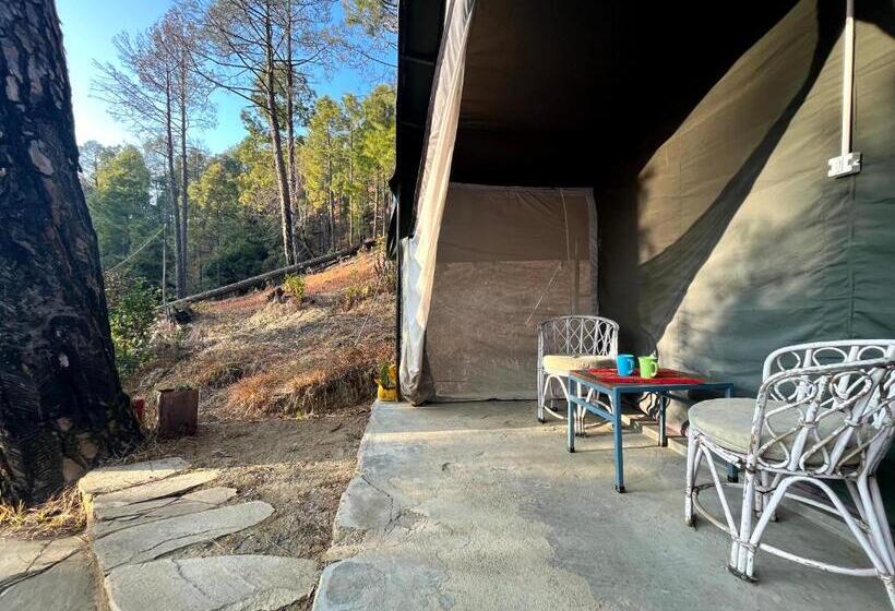 Standard Tent, Glampinn Woods