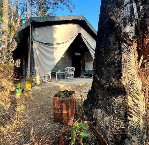 Standard Tent, Glampinn Woods