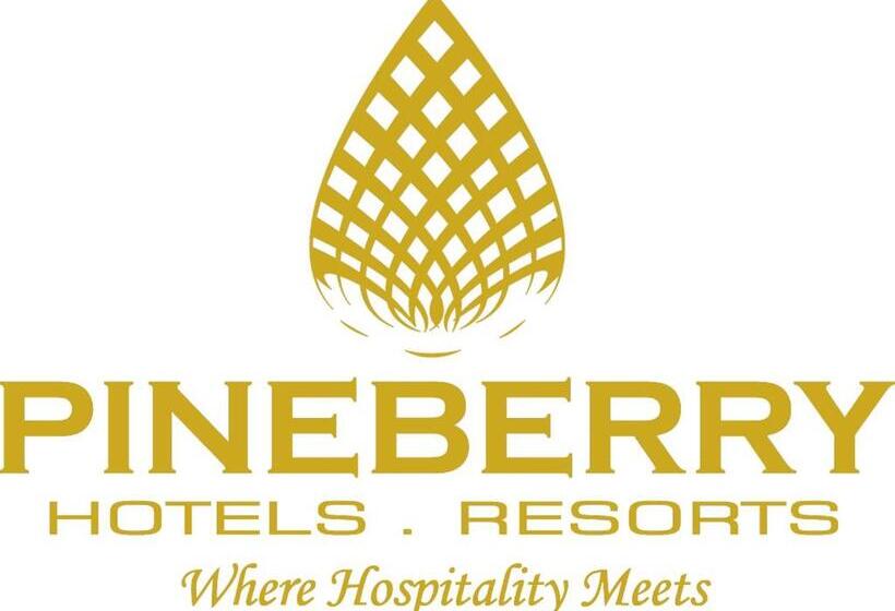 اتاق سوپریور با تخت بزرگ, Pineberry Hotels   Near Golden Temple