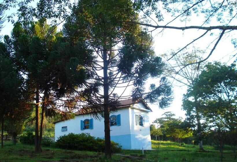 Дом 2 Спальни, Villa Druida