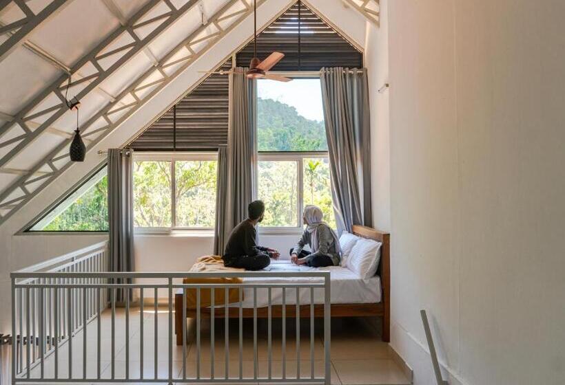 家庭间, Wild Brooke Hut