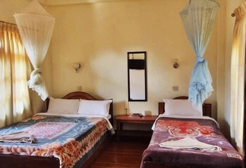اتاق استاندارد یک نفره, Jungle Vista