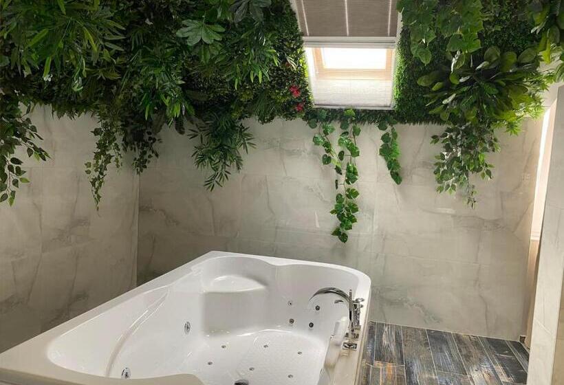 デラックスルーム, Nest