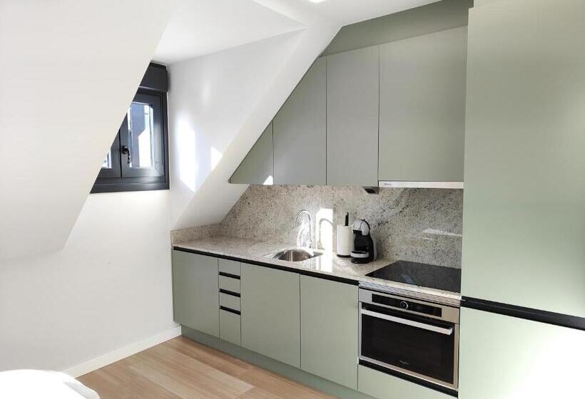 带1个卧室的顶楼公寓, Apartamentos Centro Oviedo Caveda