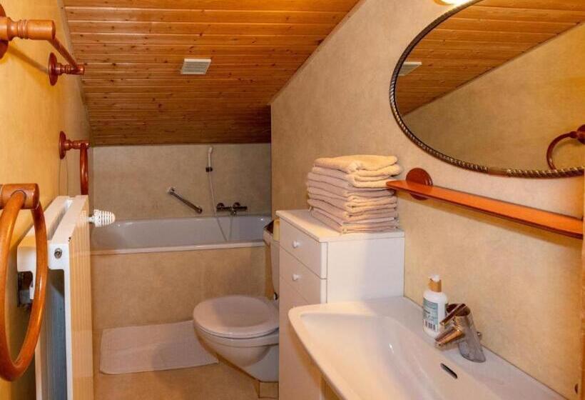 آپارتمان 3 خوابه, Alpinechalet Zigjam