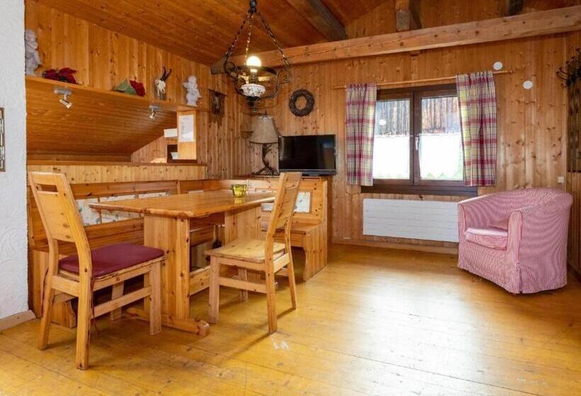 آپارتمان 3 خوابه, Alpinechalet Zigjam