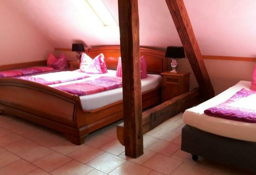 Номер Стандарт Вид на Сад, Heidehof Pension B & B